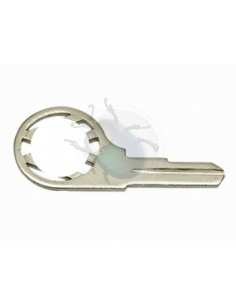 LLAVE VIRGEN SE 1960