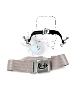 CHAPA DELANTERA MOTOR CROM.... 2