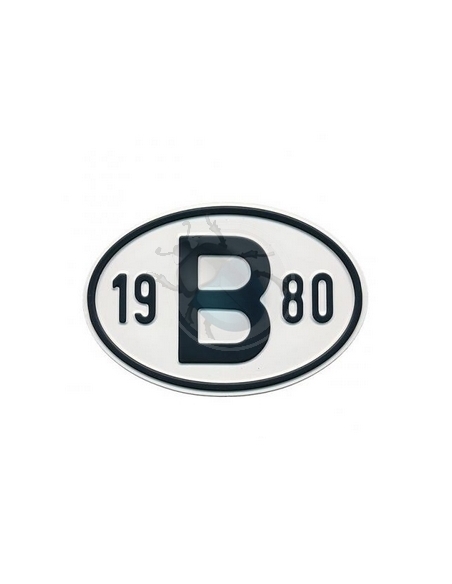 31253