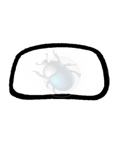 PASE RUEDA DEL COMPLETO T1... 2