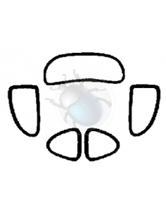 KIT GOMA VENTANAS STD. -53...
