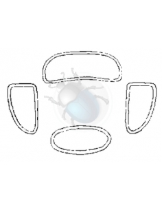 KIT GOMAS CRISTAL BLANCO 53-57