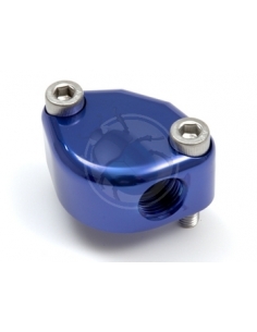 TAPA HUECO BOMBA GASOLINA AZUL