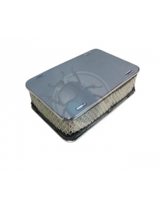 FILTRO AIRE WEBER DCNF...