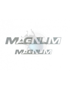 PEGATINA 'MAGNUM' (2) BUS T3