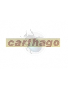 PEGATINA 'CARTHAGO'