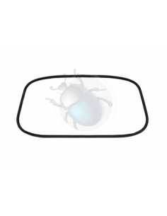 GOMAS VENTANA TRASERA KG...
