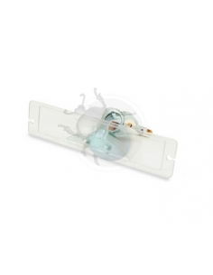 LUZ MATRICULA TRASERA T2 -71