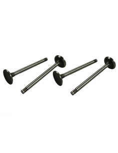 SET 4 VALVULAS ADMISION 1.2...