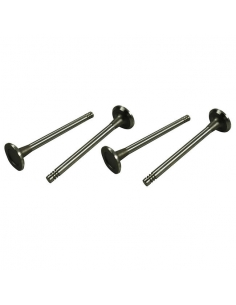 SET 4 VALVULAS ESCAPE 30x8...