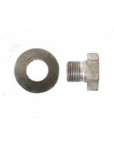 TORNILLO + ARANDELA POLEA