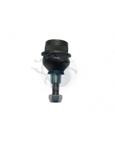 ROTULA SUSPENSION 181 SUPERIOR