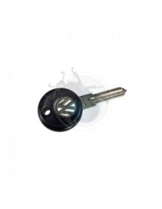 LLAVE VIRGEN  N 79-91